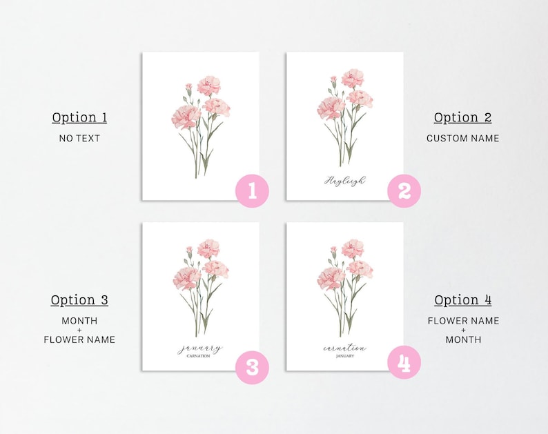 May include: Four options for floral art prints featuring pink carnations. Option 1 has no text, Option 2 has a custom name, Option 3 displays the month and flower name, and Option 4 shows the flower name and month.