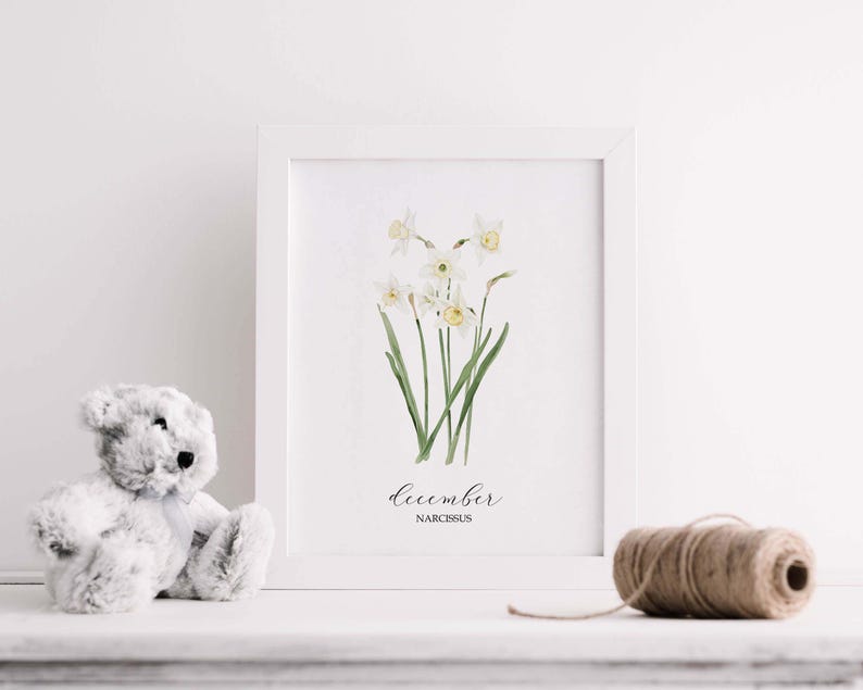 May include: A framed watercolor print featuring white daffodils with yellow centers and green stems. The print is labeled "December Narcissus" in elegant script. A gray teddy bear and a spool of twine are in the foreground.