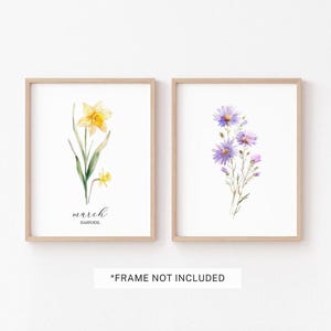 May include: Two framed watercolor prints featuring botanical illustrations. One print showcases a yellow daffodil with the text "march DAFFODIL". The other print displays purple flowers. The text "*FRAME NOT INCLUDED" is at the bottom.