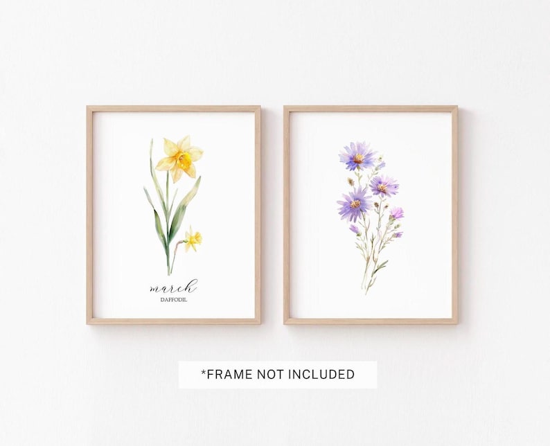 May include: Two framed watercolor prints featuring botanical illustrations. One print showcases a yellow daffodil with the text "march DAFFODIL". The other print displays purple flowers. The text "*FRAME NOT INCLUDED" is at the bottom.
