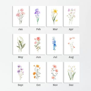May include: A collection of twelve watercolor floral art prints, each representing a month of the year. The prints feature various flowers in soft colors, with the month's name printed below each image. The flowers include pink, purple, yellow, and orange blooms.