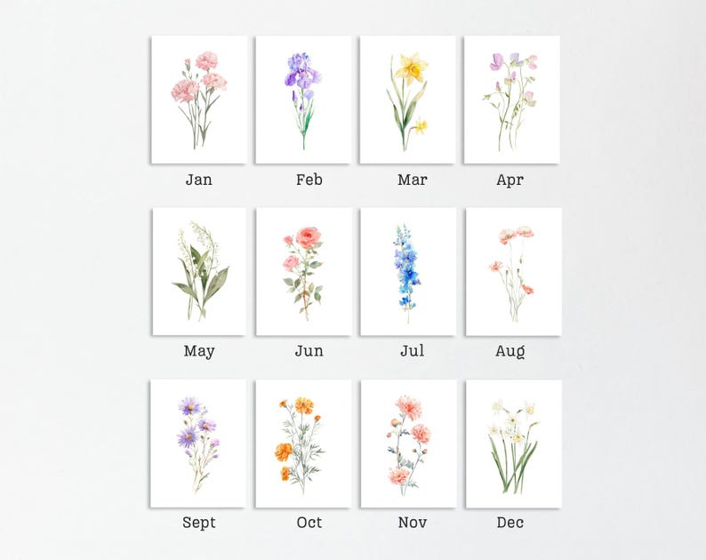 May include: A collection of twelve watercolor floral art prints, each representing a month of the year. The prints feature various flowers in soft colors, with the month's name printed below each image. The flowers include pink, purple, yellow, and orange blooms.