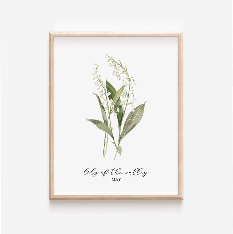 May include: A framed watercolor print featuring a botanical illustration of lily of the valley flowers. The artwork showcases white bell-shaped blossoms and green leaves against a white background. The text "lily of the valley" and "may" are written in a script font.