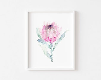 Watercolor Protea Art Print, South African Flower Art, Modern Botanical Print, Soft Pink Floral Watercolor Wall Art, Unique Protea Painting