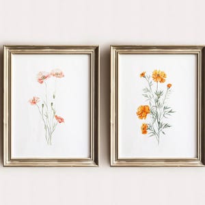 May include: Two framed floral art prints. One features watercolor poppies in shades of pink and red. The other showcases orange marigold flowers. Both are set against a white background within gold-colored frames.