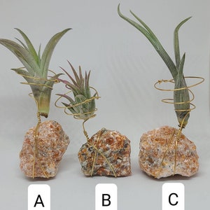 Orchid Calcite Air Plant Holder, Air Plant Gemstone Holder, Home Decor, Birthday Present, Gift for Mom, Unique Gift, Tillandsia holder