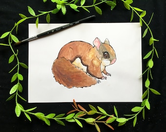 ORIGINAL Flying Squirrel Set: watercolor paintings, set of five
