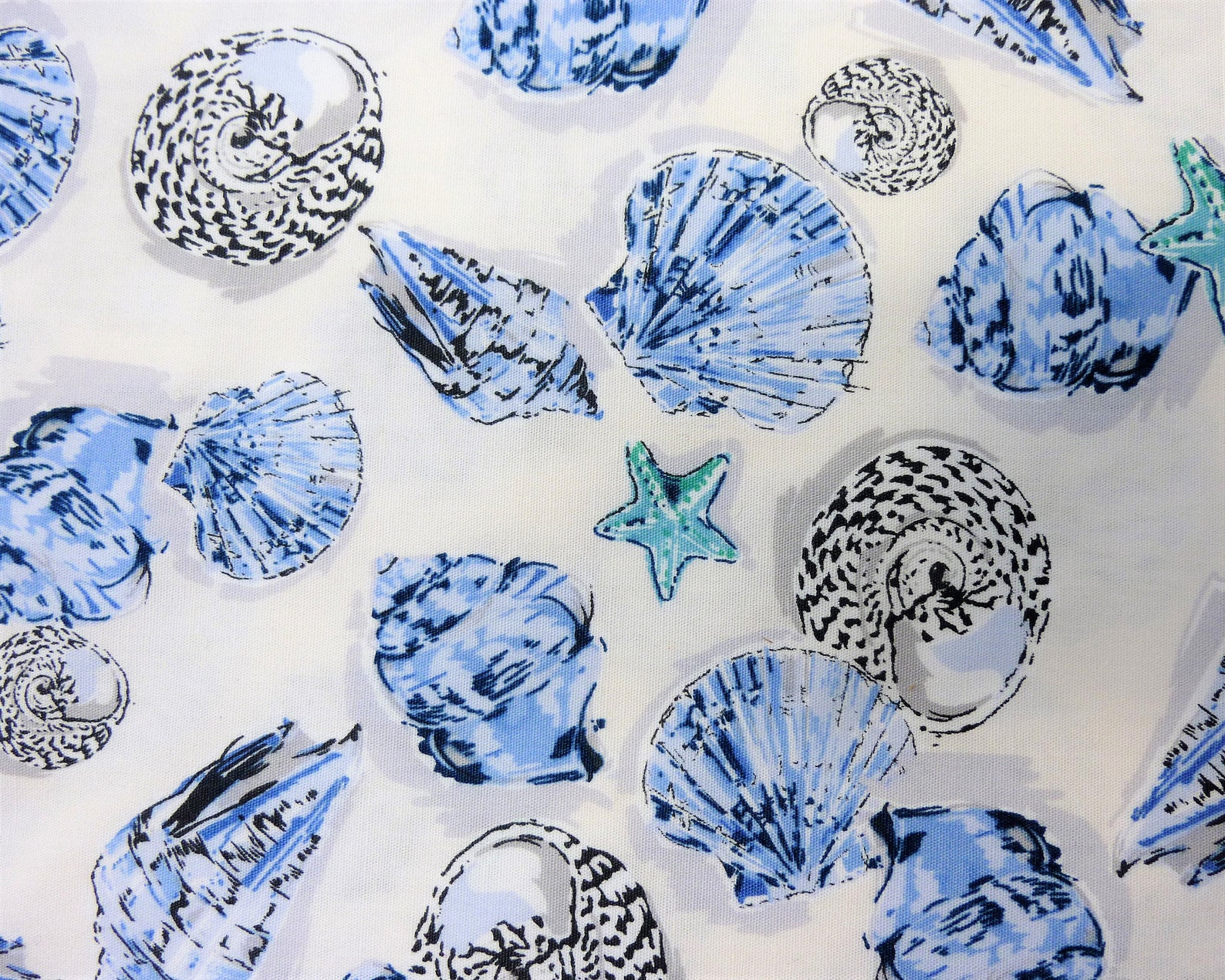 Sea Shell Fabric by the Half Metre Summer Beach Theme Cotton Etsy