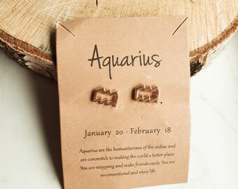 minimalist earrings earrings zodiac sign Aquarius with gift card