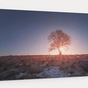 Limestone Lone Tree With Light Burst From Sunrise Photography Ready To Hang Canvas Wall Art