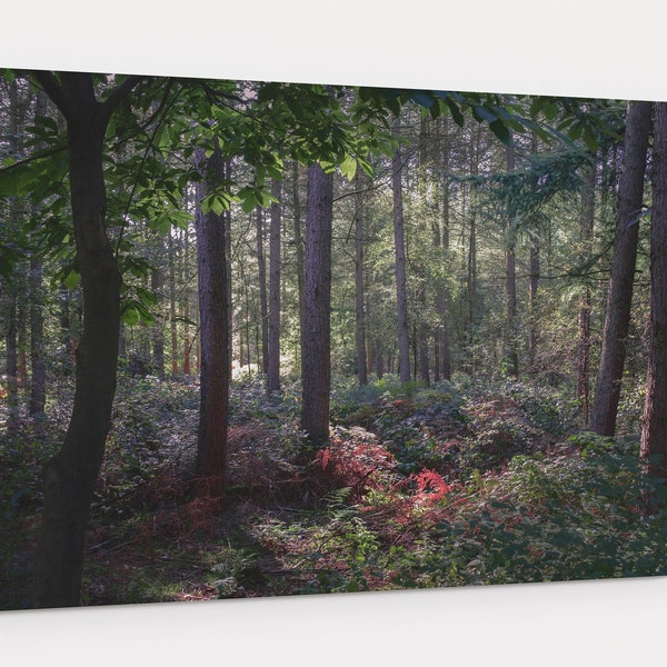 Canvas Wall Art Etsy UK