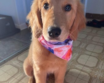 over the collar dog bandana