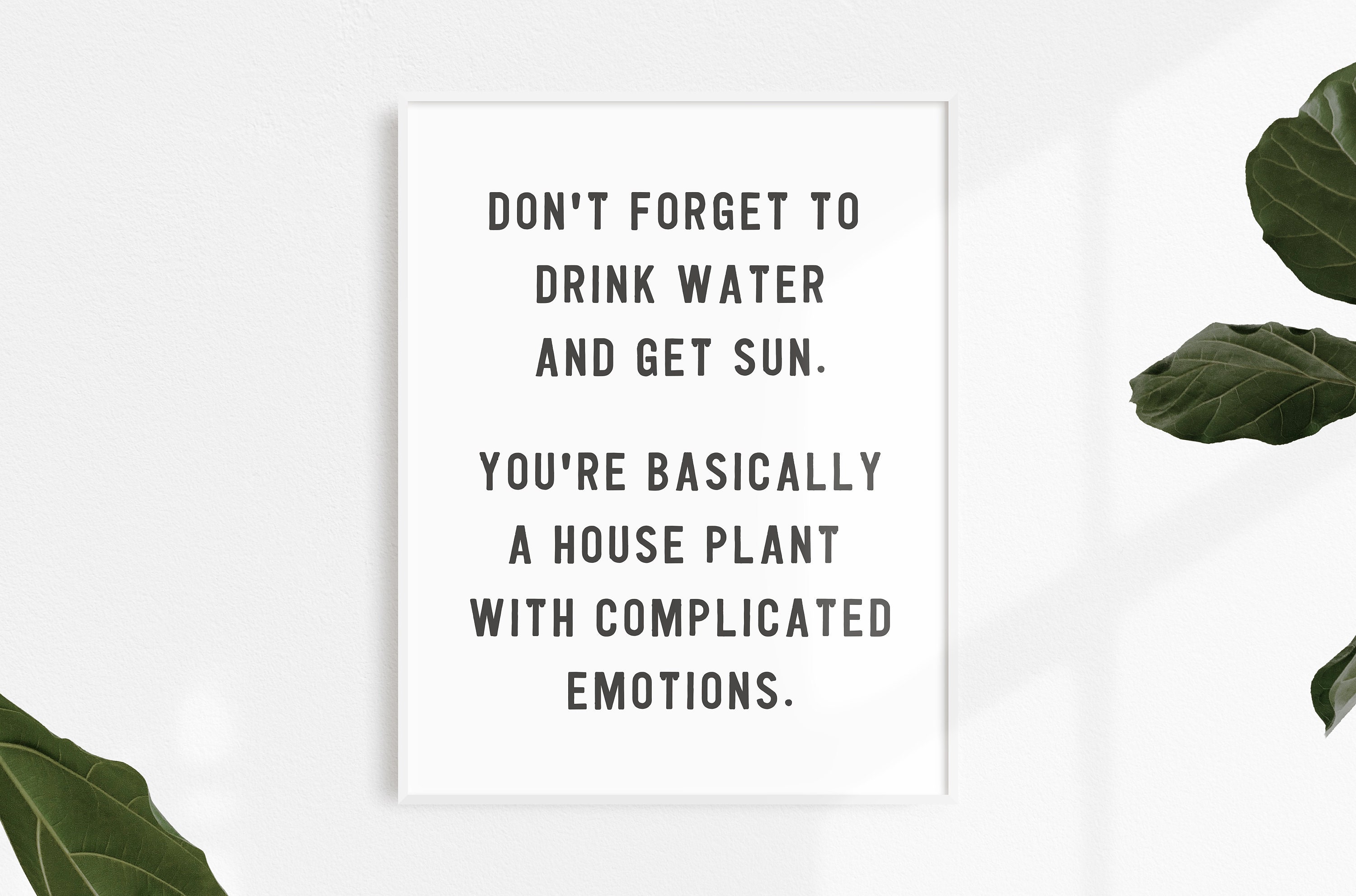 Youre basically a houseplant with more complicated emotions