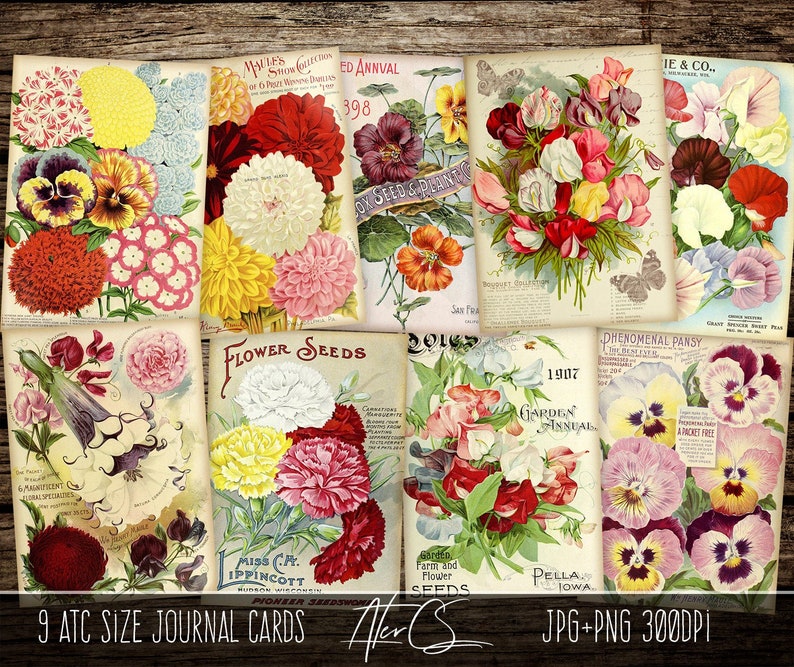 Atc Size 2 5 X 3 5 Printable Journal Cards Scrapbook Ephemera Sheet Vintage Flowers Seed Packets Digital Download Journal Junk Scrapbooking Papercraft Delage Com Br Atc Size 2 5 X 3 5 Printable Journal Cards Scrapbook Ephemera Sheet Vintage Flowers Seed Packets Digital Download Journal Junk Scrapbooking Papercraft Delage Com Br