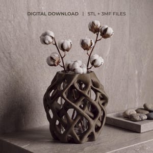 May include: A brown, lattice-structured vase containing white cotton stems. The text DIGITAL DOWNLOAD | STL + 3MF FILES is visible at the top. The vase features an intricate, interconnected web design surrounding a clear glass inner container.