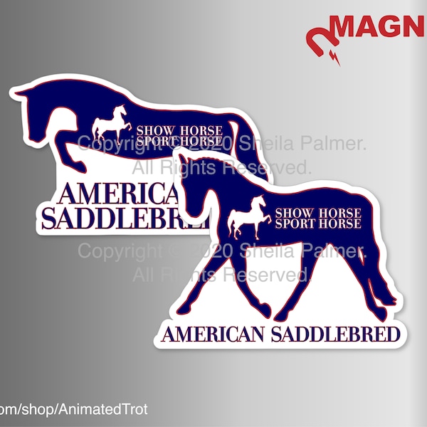 American Saddlebred "Show Horse Sport Horse" MAGNET - For cars, horse trailers, refrigerators, etc.