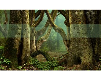 Fantasy Landscape Etsy
