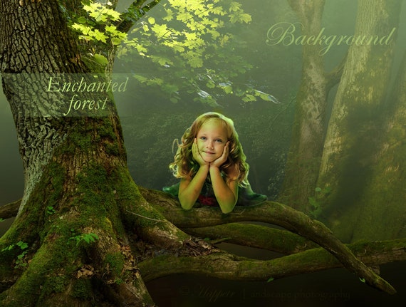 Enchanted Forest Digital Backdrop Fantasy Background Fairytale Etsy