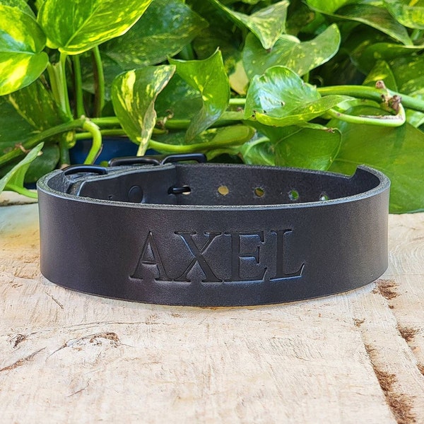 Black Tapered Wide Leather Dog Collar, Personalized Handmade Collars, Made in U.S.A.
