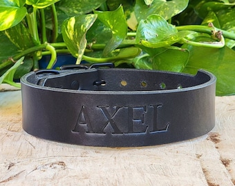 Personalized Black Leather Tapered Wide Collar, With Solid Brass Hardware