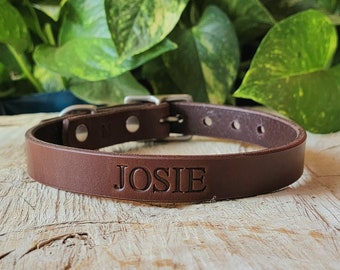 Personalized Brown Leather Dog Collar, Handmade Collars for Small and Large Dogs, Earth Tones, Made in U.S.A.