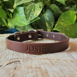 Personalized Brown Leather Dog Collar, Handmade Collars for Small and Large Dogs, Earth Tones, Made in U.S.A. image 1