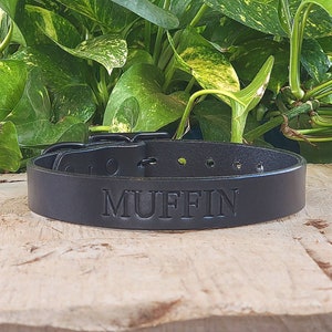 Black Leather Dog Collar – Premium Bridle Leather, Solid Brass Hardware – Handmade in USA – The Dusty Collar