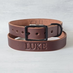 Full-Grain Leather Working Dog Collar – Brown | Heavy Duty