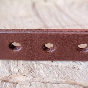 Personalized Brown Leather Dog Collar, Handmade Collars for Small and Large Dogs, Earth Tones, Made in U.S.A. image 7