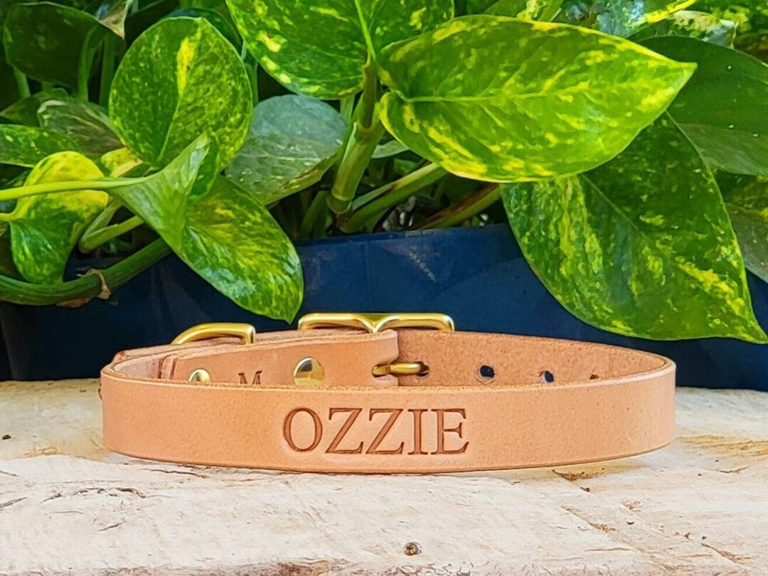 Natural Leather Dog Collar Durable, Comfortable, and Stylish Made in