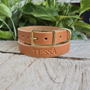 Personalized Tan Leather Dog Collar - Solid Brass hardware