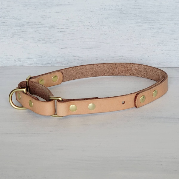 Premium Leather Martingale Collar, Training Leather Dog Collar, Made in U.S.A.