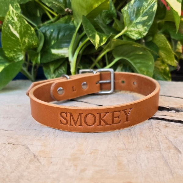 Personalized Tan Leather Dog Collar, Handmade Collars for Small and Large Dogs, Solid Brass Hardware, Made in U.S.A.