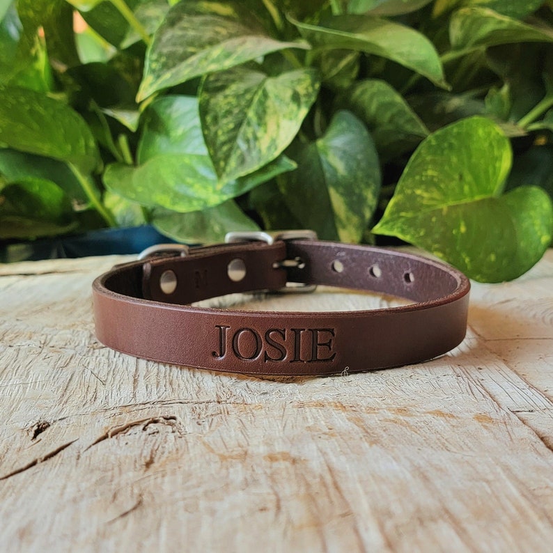 Personalized Brown Leather Dog Collar, Handmade Collars for Small and Large Dogs, Earth Tones, Made in U.S.A. image 1
