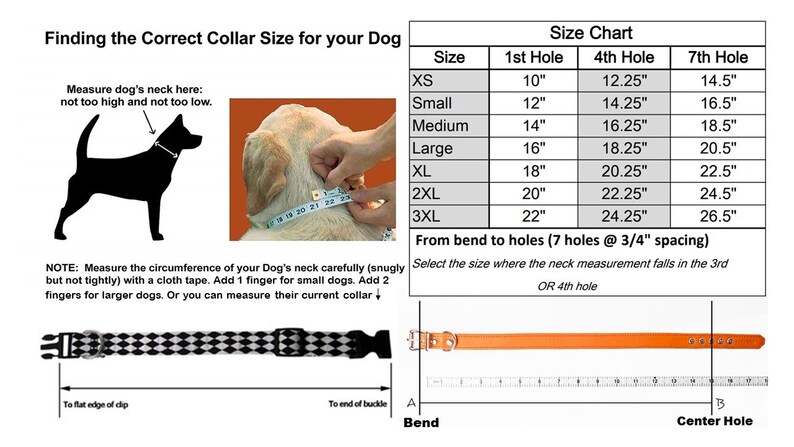 Personalized Leather Dog Collar w Leather Keeper Natural or Black Veg Tan Leather 34 inch or 1 inch Hand Stamped Collars Made in USA