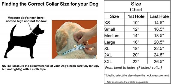 Dog Color Chart