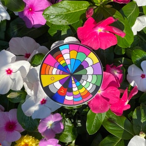 May include: A colorful circular design with a black center and a variety of colors radiating outward. The design is surrounded by pink, white, and purple flowers.