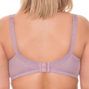 May include: A mauve-colored bra with adjustable straps and a hook-and-eye closure in the back.
