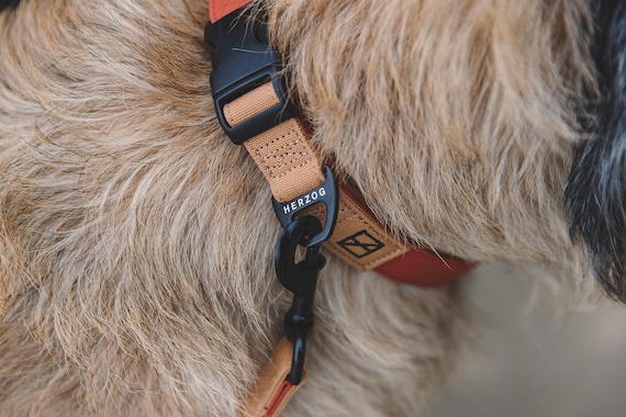 Herzog Collar de para Perros Terracota - Etsy España