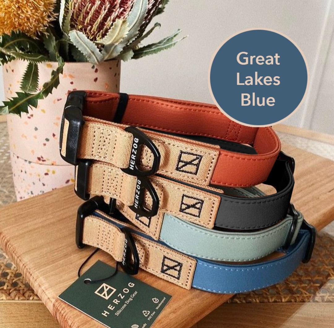 Waterproof Dog Collar Great Lakes Blue Silicone Vegan Leather Dog