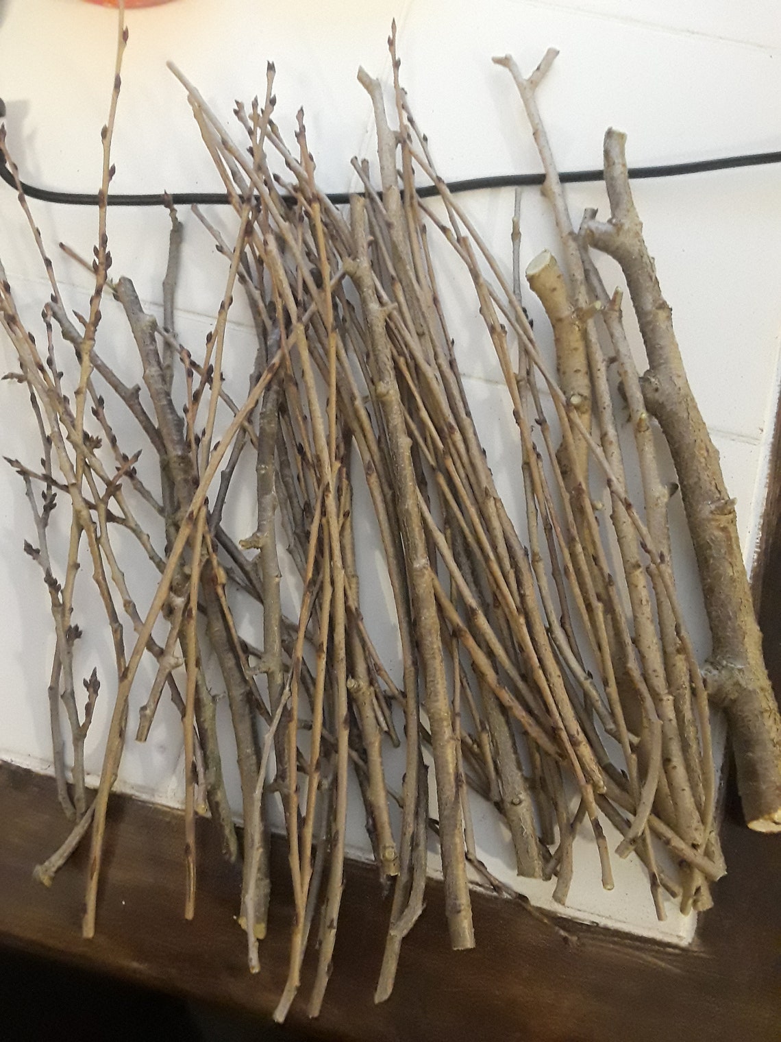 15 fresh white pine cuttings. Live Cuttings Free Shipping11 Etsy