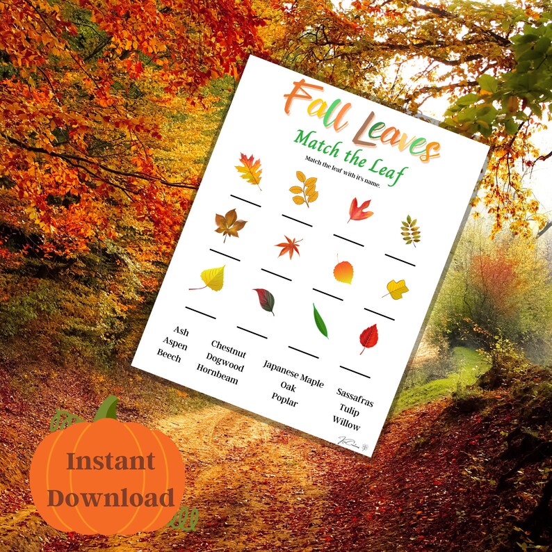 Fall Match the Leaf Game Printable Autumn Game Leaf Trivia Etsy