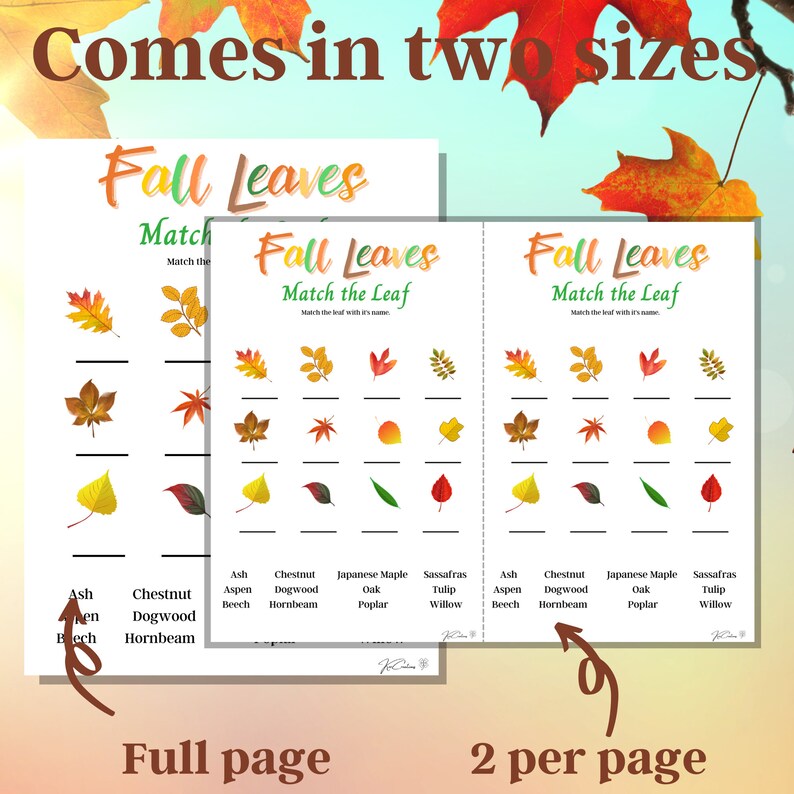 Fall Match the Leaf Game Printable Autumn Game Leaf Trivia Etsy