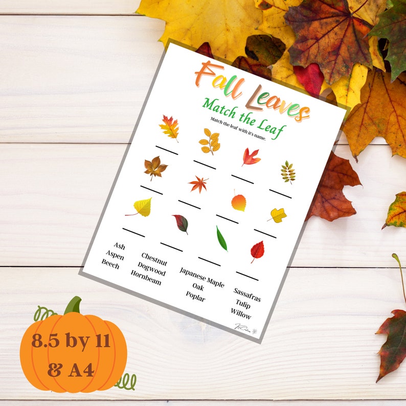 Fall Match the Leaf Game Printable Autumn Game Leaf Trivia Etsy