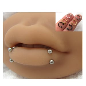 Paar 14G 16G Snake Bites Labret Lippenringe Bottom Side Lip Ringe Hufeisen 8 mm 10 mm Lip Studs Lip Ringe Lip Schmuck Silber Schwarz Gold