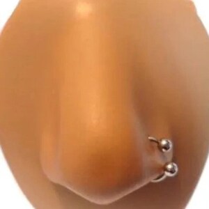 May include: A close-up of a fake nose with a silver nose ring. The nose ring has two small silver balls on each end.