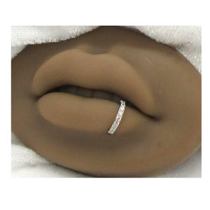 16G Silber Gold Schlange beißt Labret Lippenring Unterseite Lippenring Hufeisen 16 Gauge Lippenstecker Lippenringe-Lippenschmuck 8 mm 10 mm Durchmesser