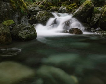 DIGITAL DOWNLOAD - Mossy Creek, WA - Landscape