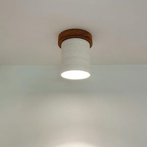 Ceiling lighting, Flush mount lighting,ceiling light,ceramic lighting, entrance lighting, living room lighting, modern lighting