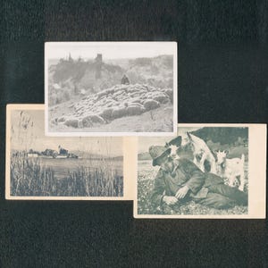 Lot de 3 cartes postales vintage des années 1950 Shepherd Island Village & Goat Herder, photographies allemandes d'après-guerre non arrimées